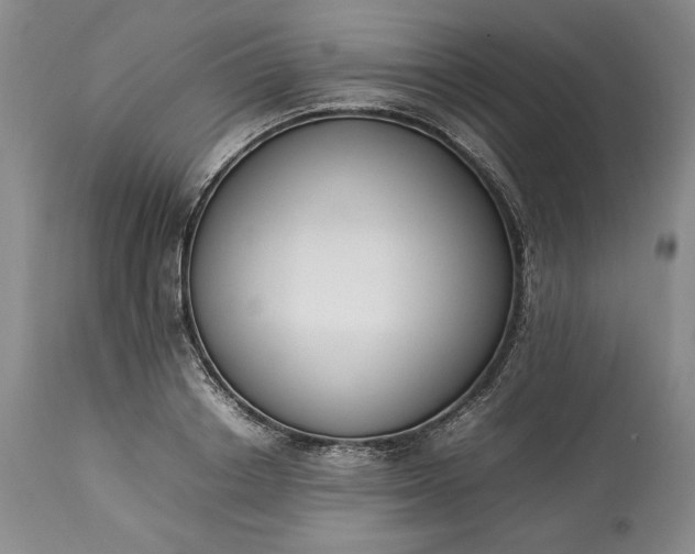 X0000113350842200909291053