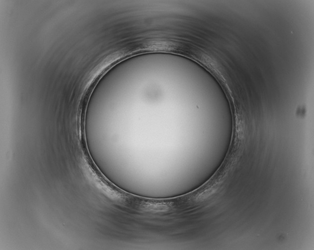 X0000113350843200909291053