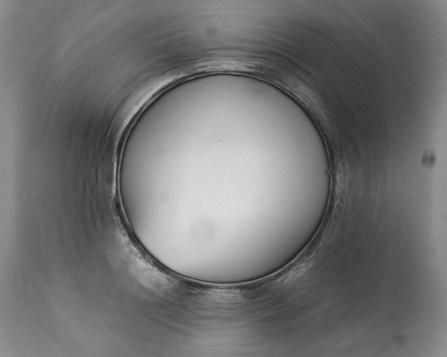 X0000113350844200909291053