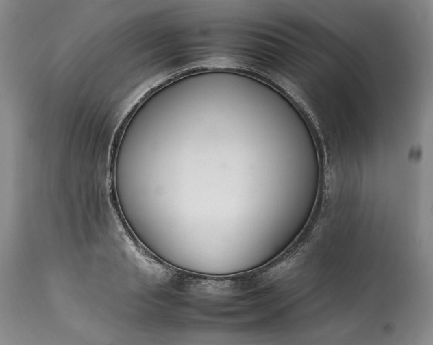 X0000113350845200909291053