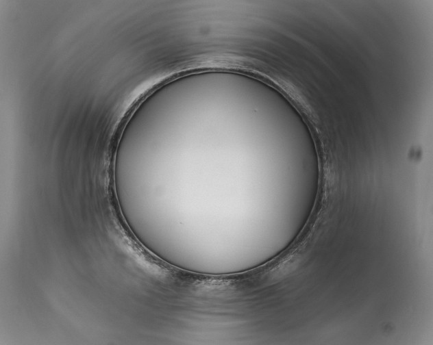 X0000113350846200909291053