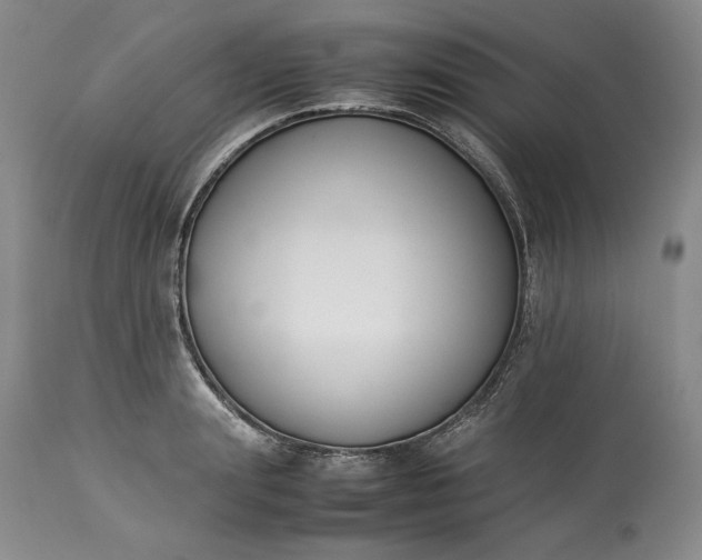 X0000113350847200909291053