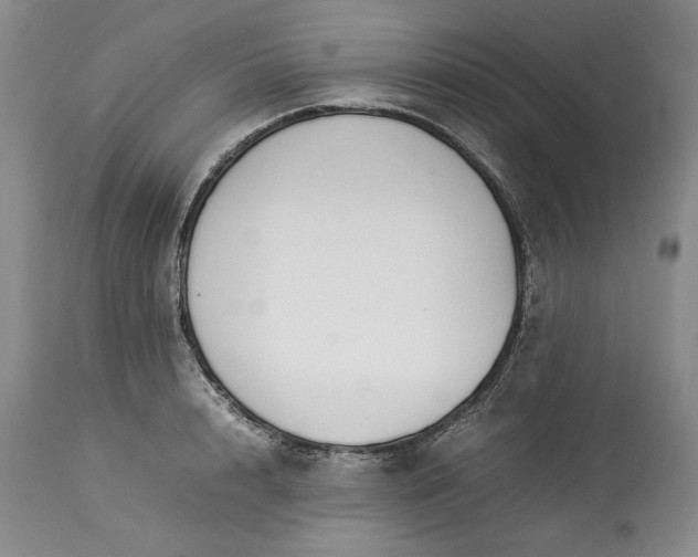 X0000113350848200909291053