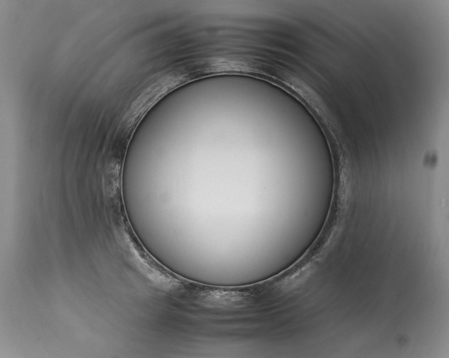 X0000113350849200909291053
