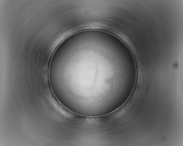 X0000113350850200909291053