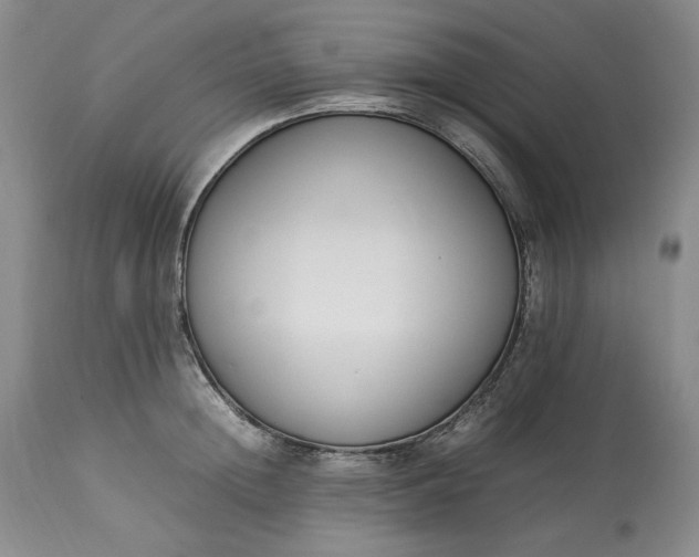 X0000113350852200909291053