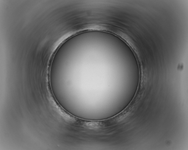 X0000113350853200909291053