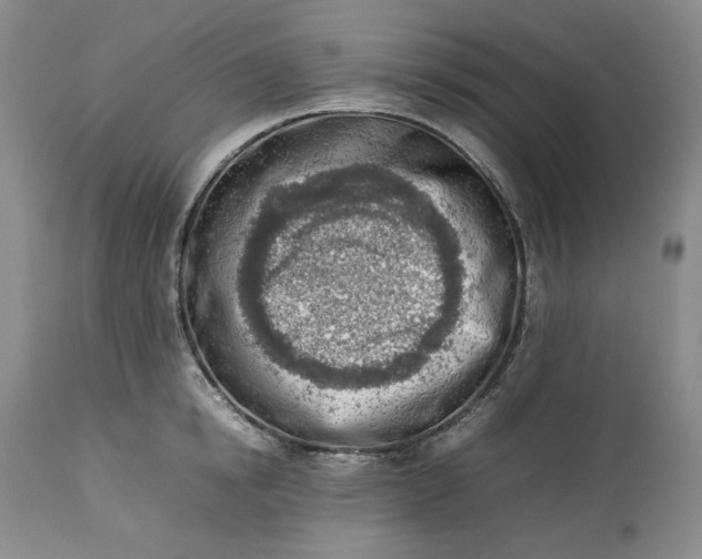 X0000113350854200909291053