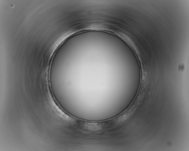 X0000113350855200909291053