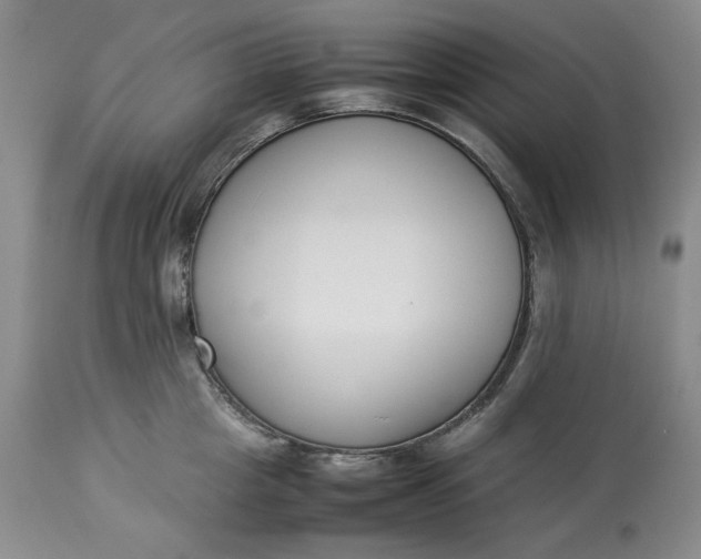 X0000113350857200909291053
