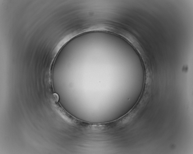 X0000113350858200909291053