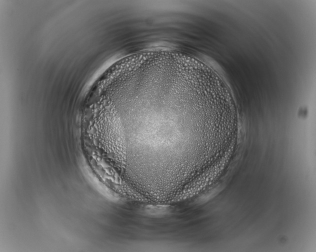 X0000113350859200909291053