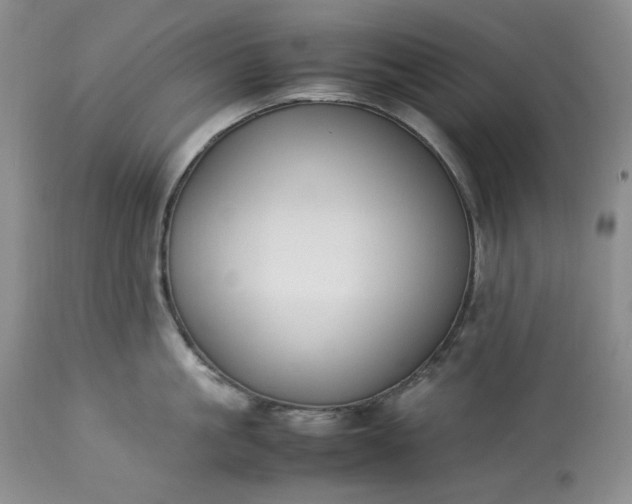 X0000113350861200909291053