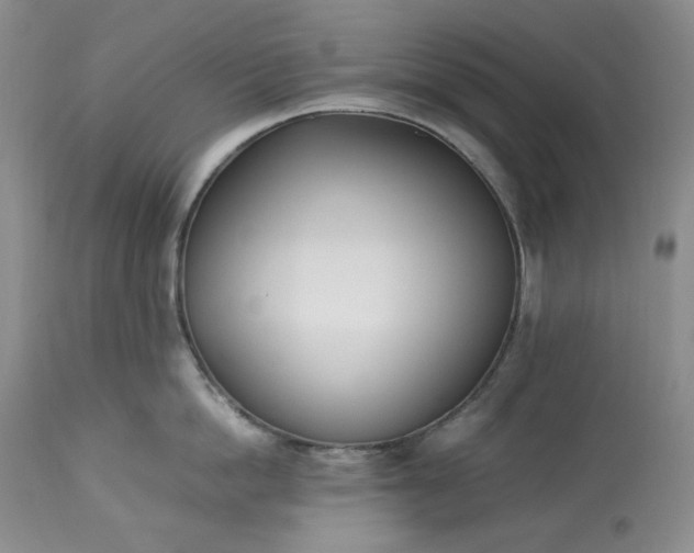 X0000113350862200909291053