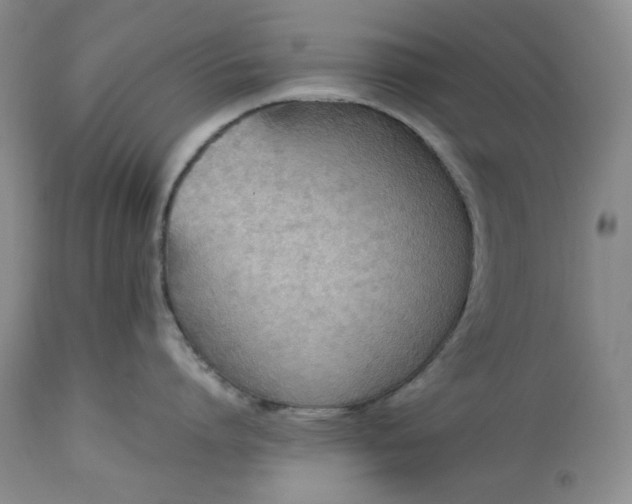 X0000113350864200909291053