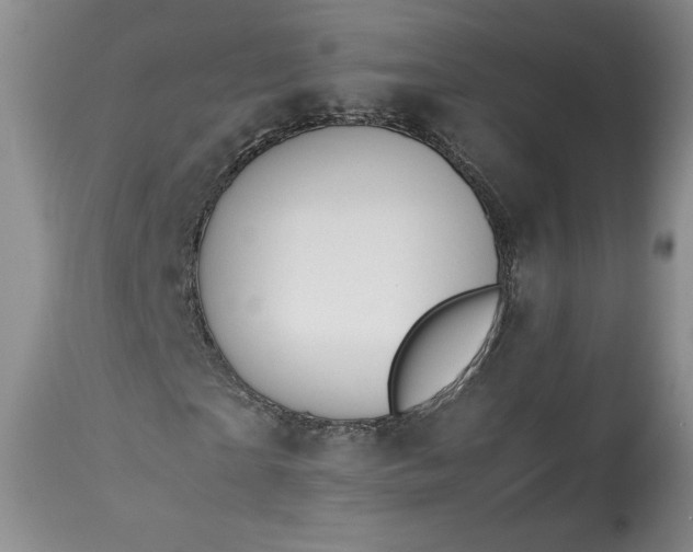 X0000113350865200909291053