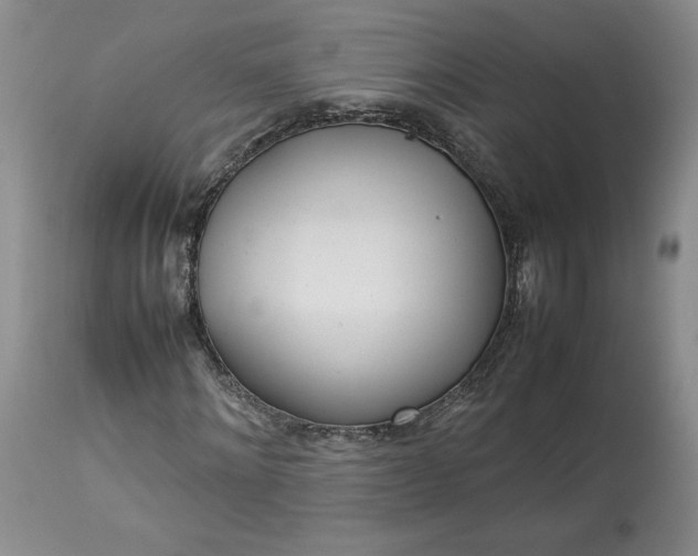 X0000113350868200909291053