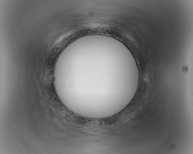 X0000113350869200909291053