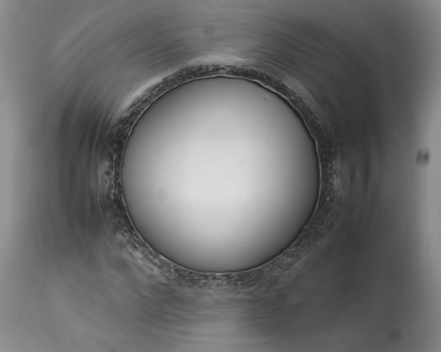 X0000113350872200909291053
