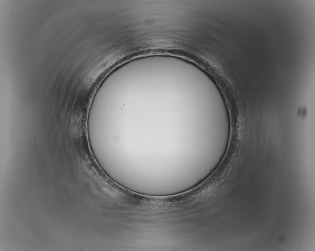 X0000113350873200909291053