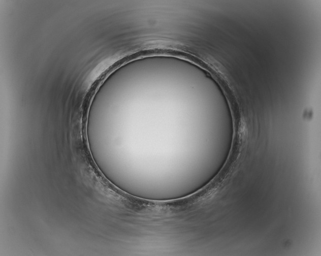 X0000113350877200909291052