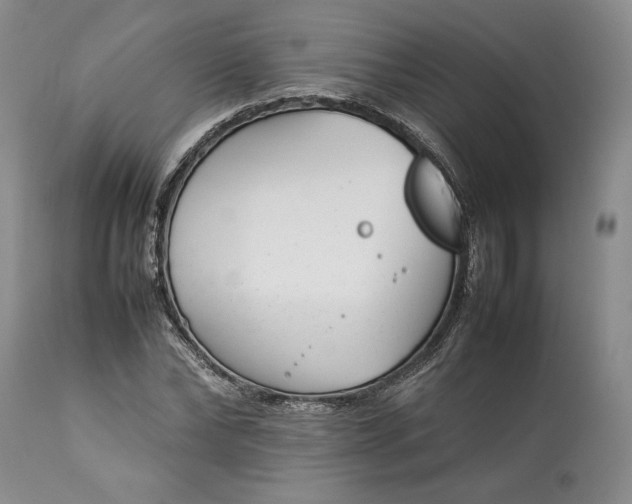 X0000113350878200909291052