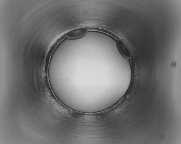 X0000113350880200909291052
