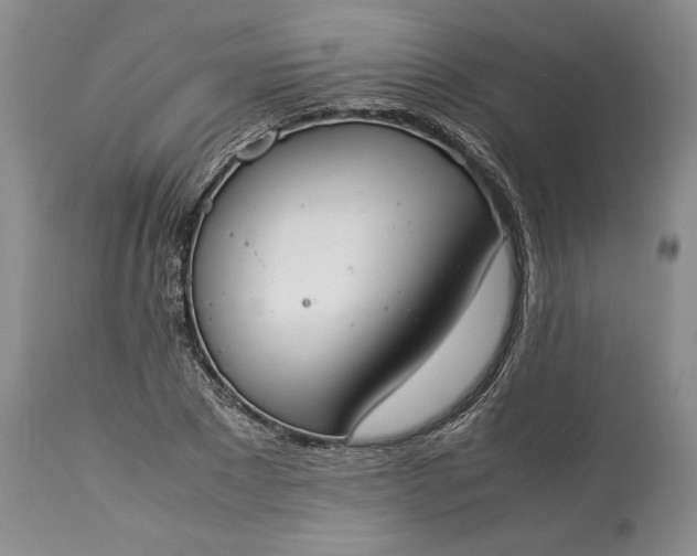 X0000113350881200909291052