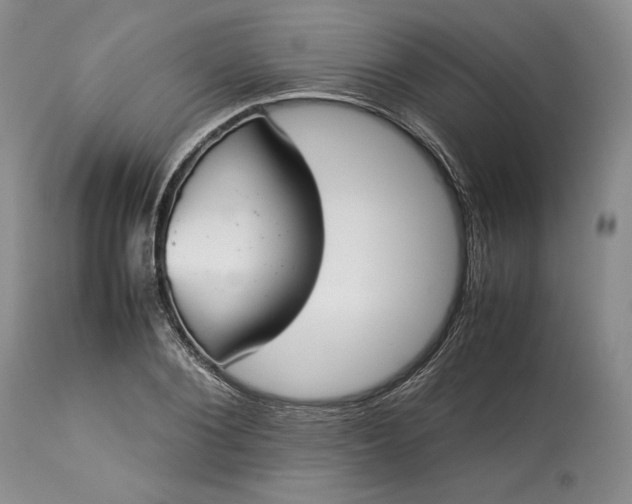 X0000113350884200909291052