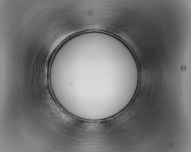 X0000113350886200909291052