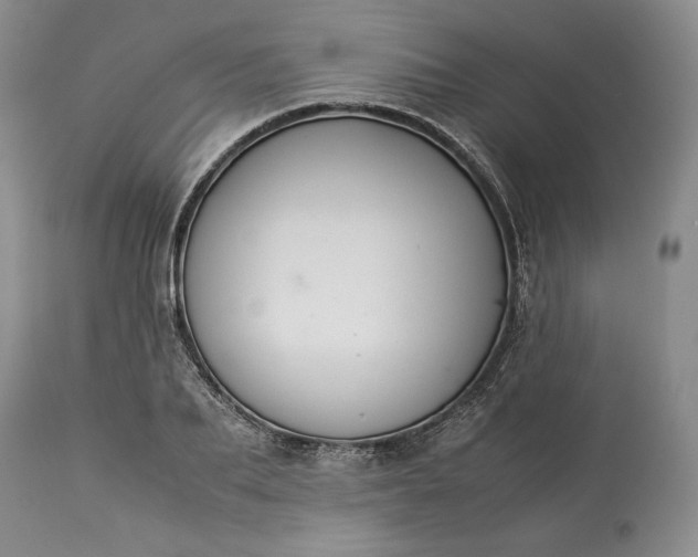 X0000113350887200909291052
