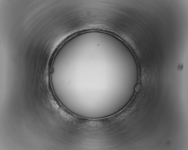 X0000113350888200909291052