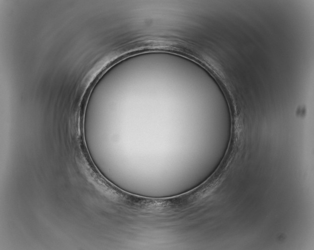 X0000113350891200909291052
