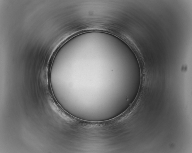 X0000113350892200909291052