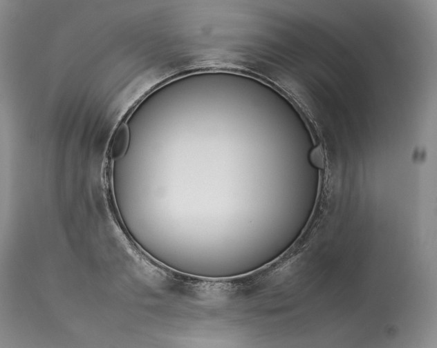 X0000113350893200909291052