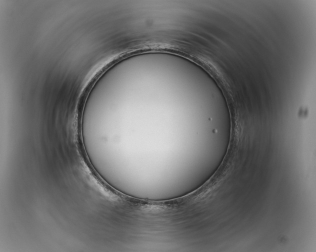 X0000113350894200909291052