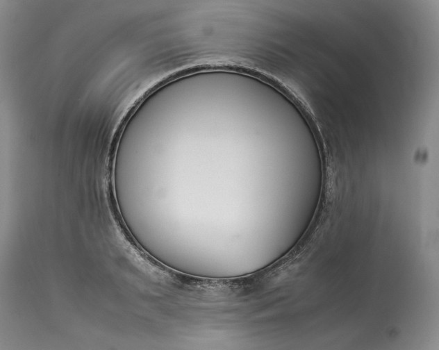 X0000113350895200909291052