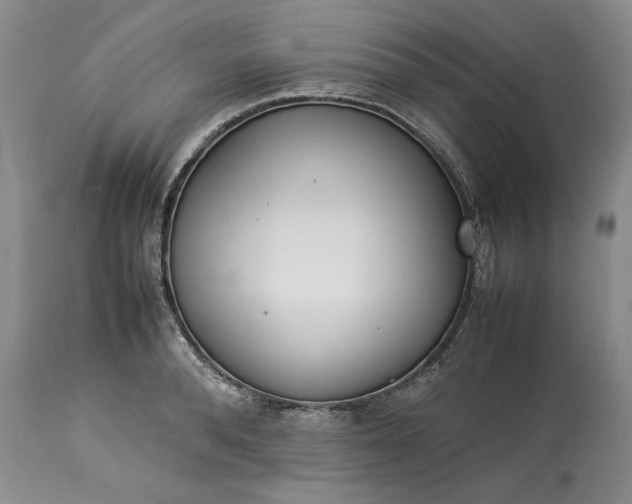X0000113350896200909291052
