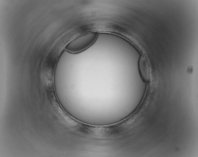 X0000113350897200909291052