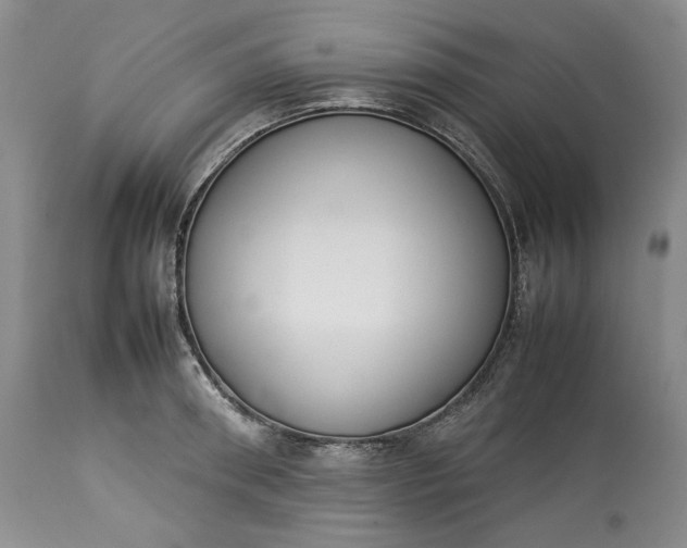 X0000113350898200909291052