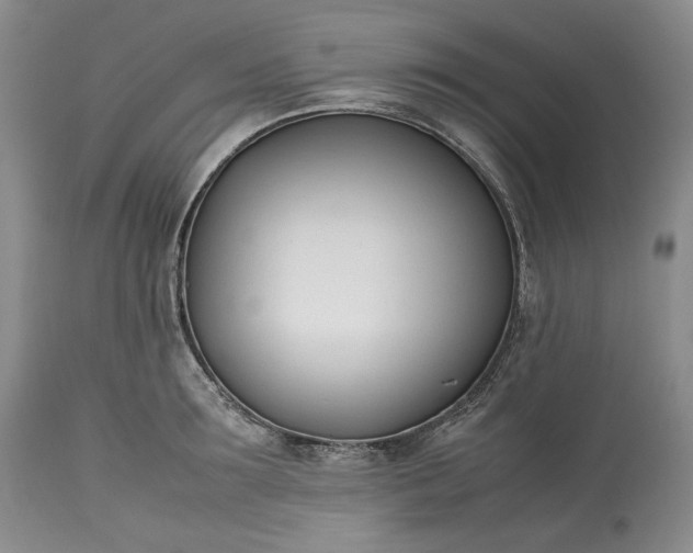 X0000113350899200909291052