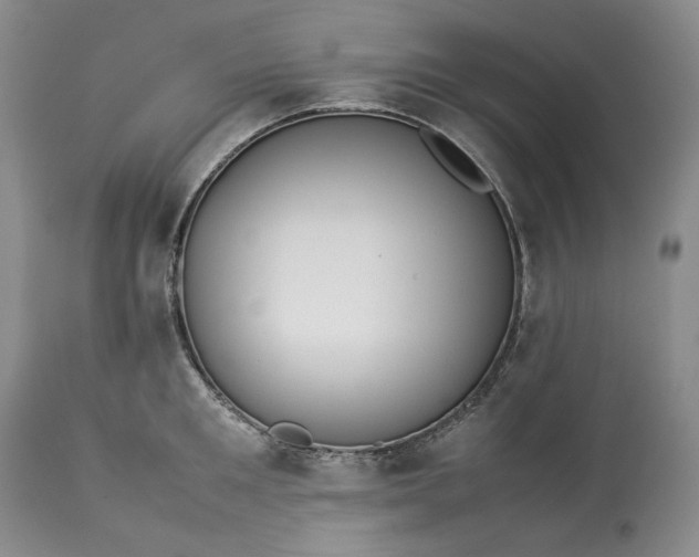 X0000113350901200909291052