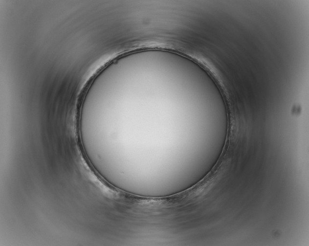 X0000113350902200909291052