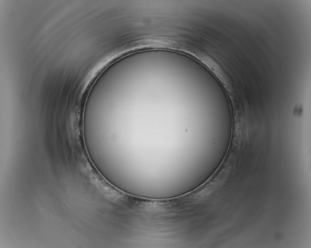 X0000113350904200909291052