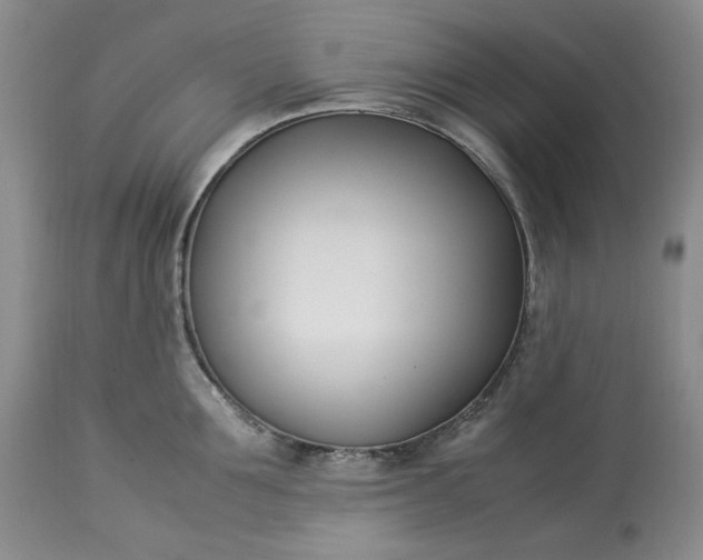 X0000113350907200909291052