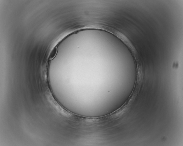 X0000113350908200909291052