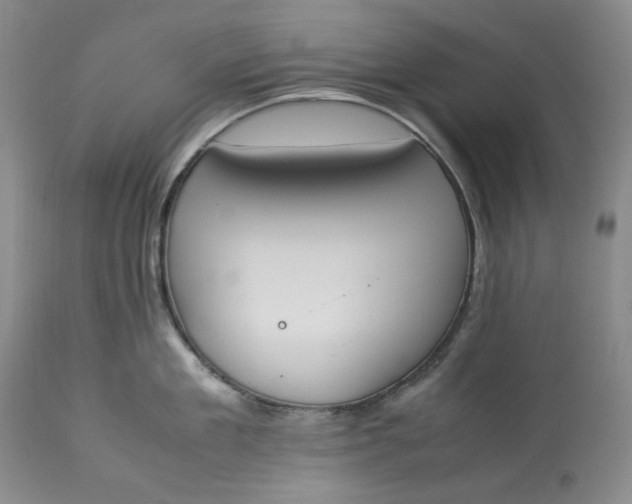 X0000113350909200909291052