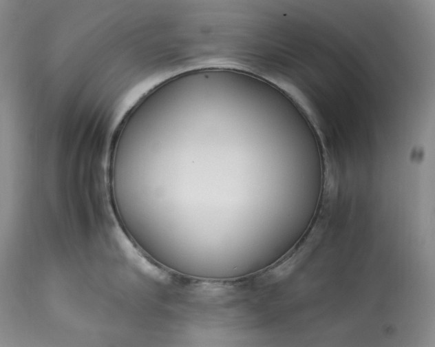 X0000113350910200909291052