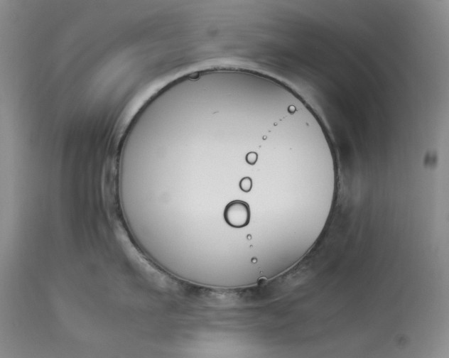 X0000113350911200909291052