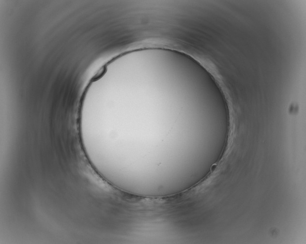 X0000113350912200909291052